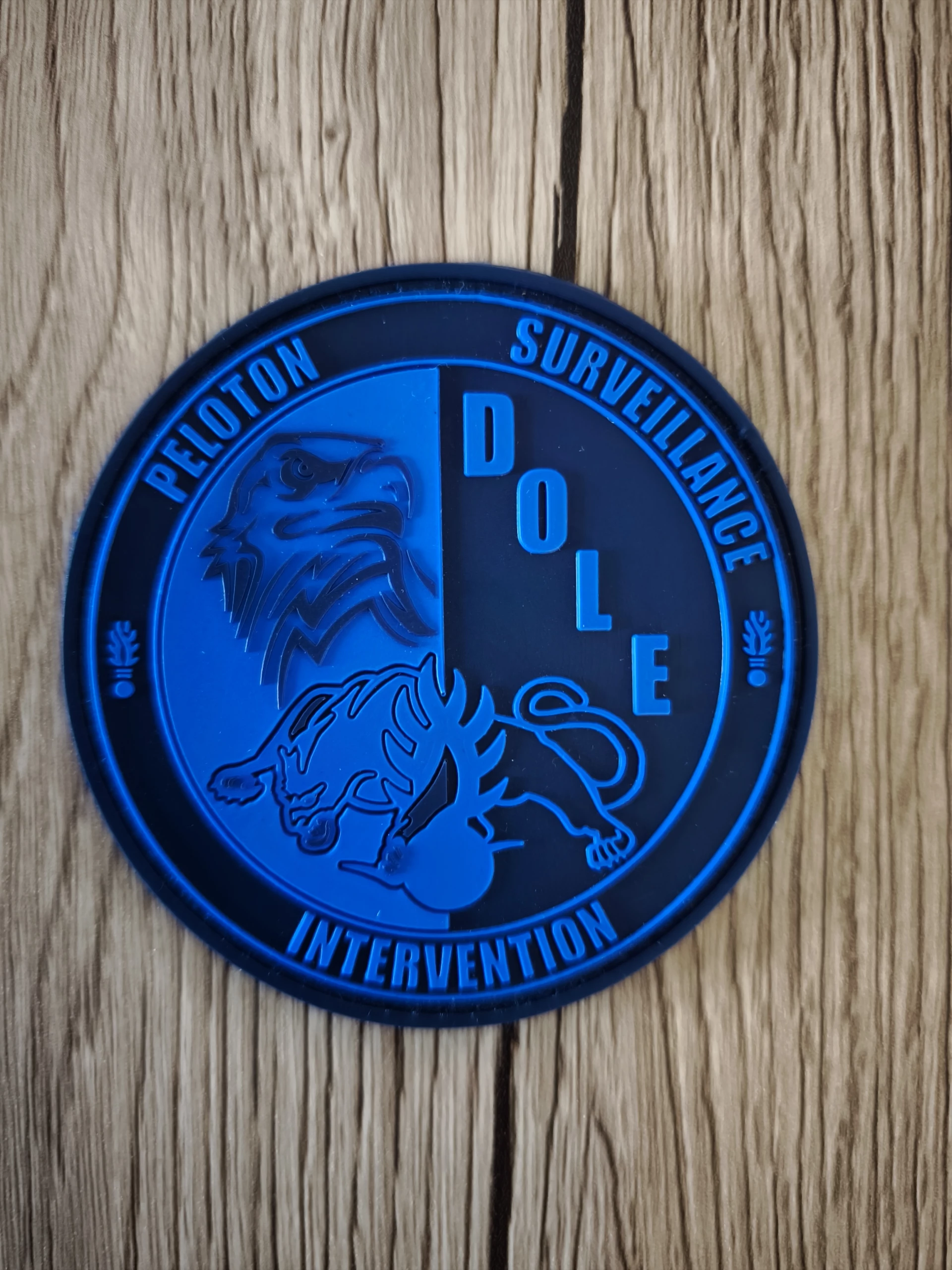 Patch PSIG DOLE (Bleu)
