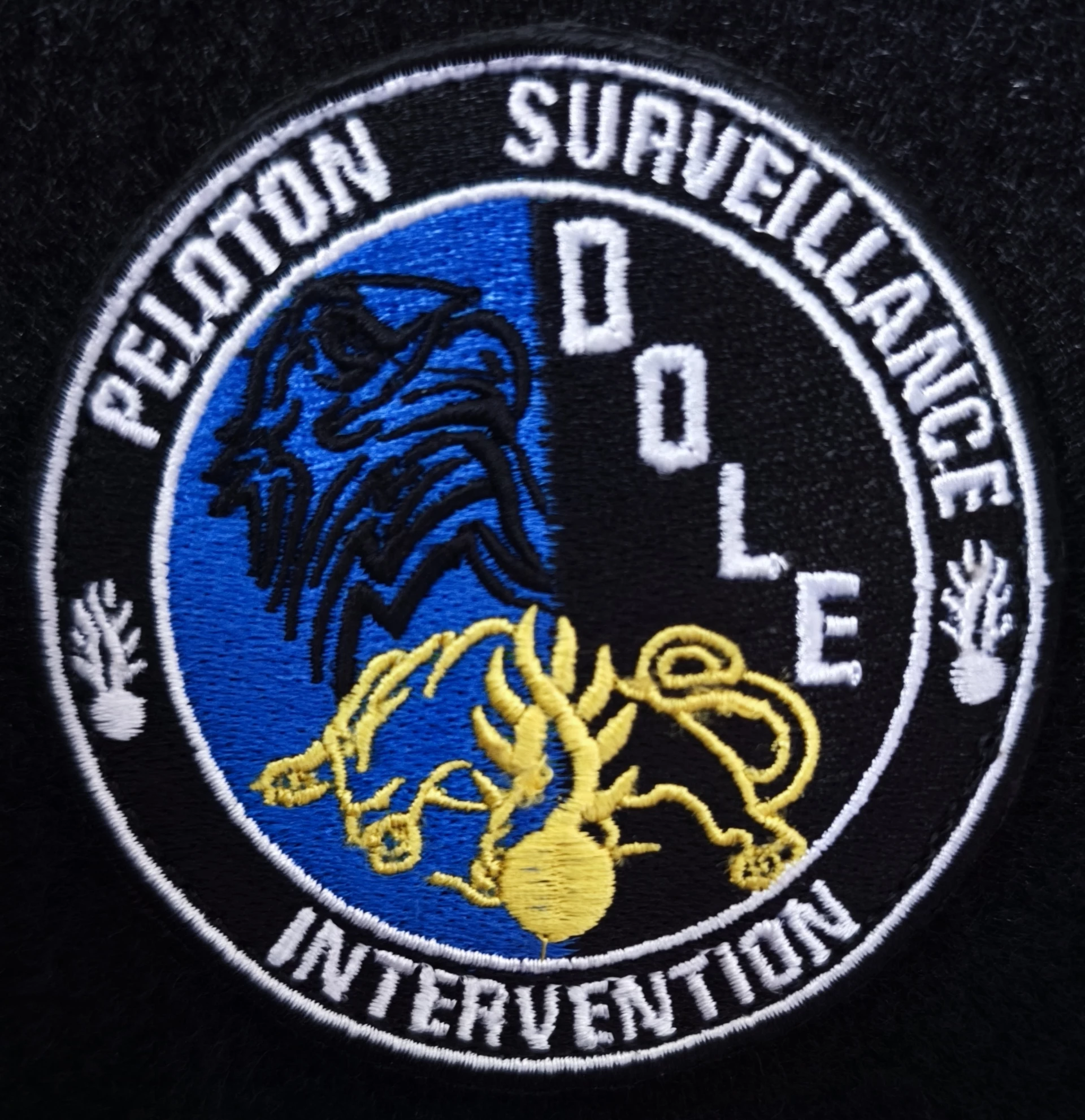 écusson brodé PSIG DOLE (Couleur)