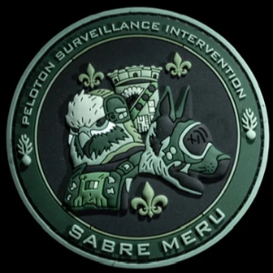 Écusson PVC PSIG MERU CAMO