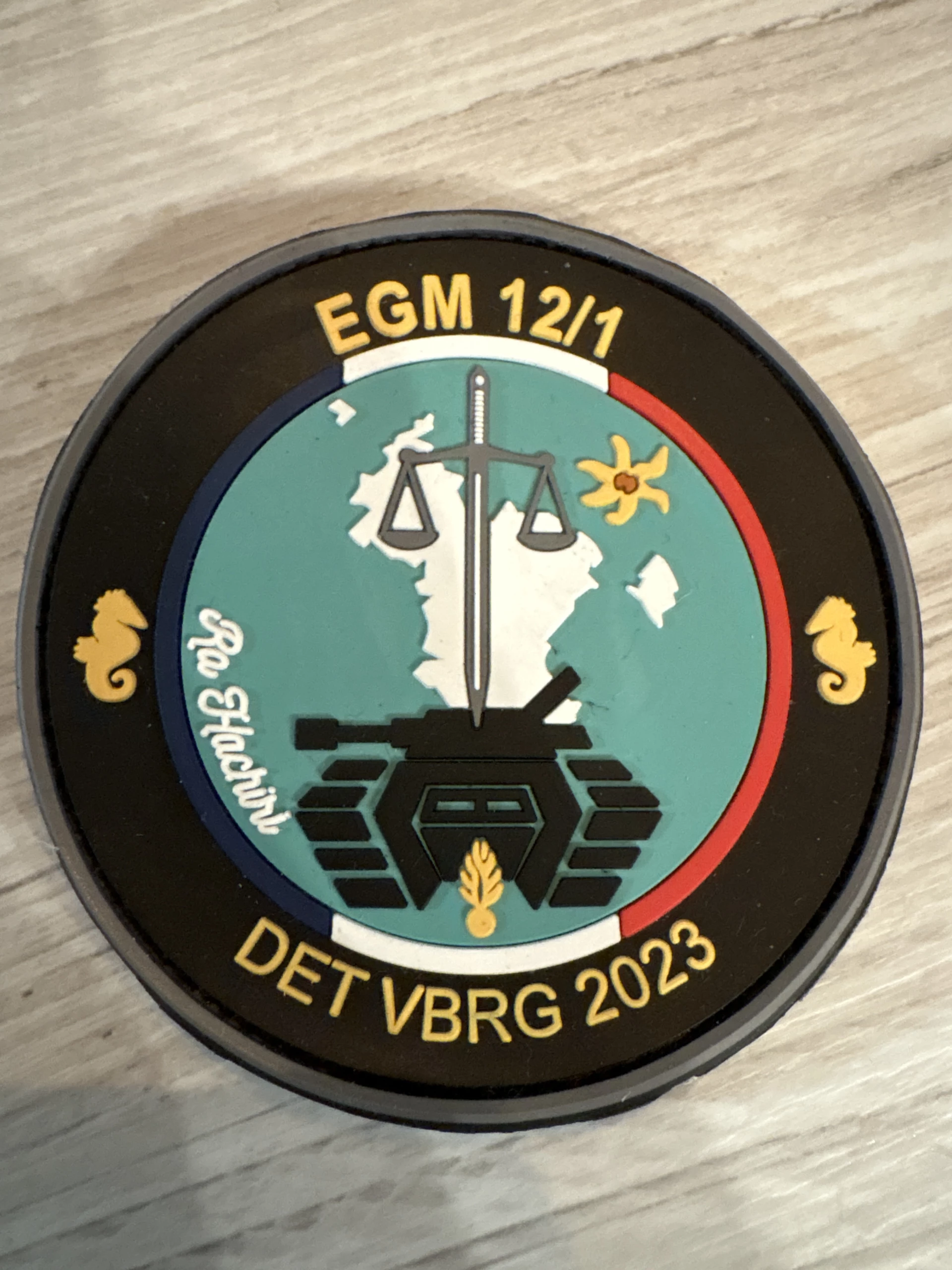 Satory - VBRG - EGM12/1 - Mayotte